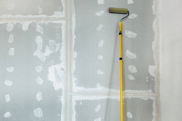 Best Mold Damage Restoration  in USA